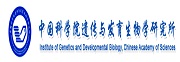中国科学院遗传与发育生物学研究